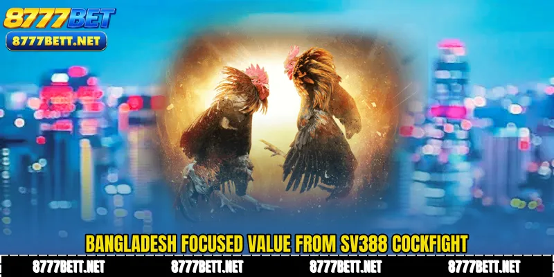 Bangladesh focused value from SV388 Cockfight
