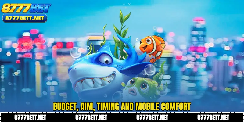 Budget, aim, timing and mobile comfort