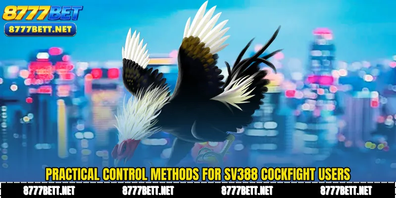 Practical control methods for SV388 Cockfight users