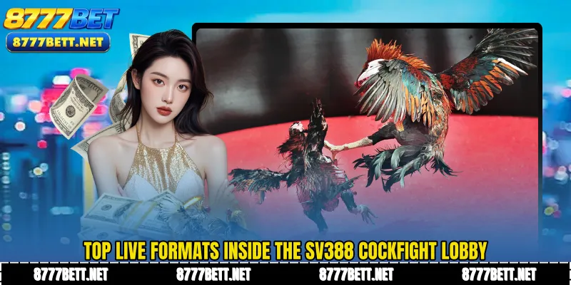 Top live formats inside the SV388 Cockfight lobby